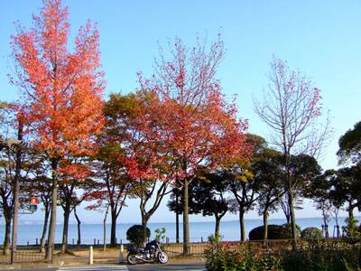 琵琶湖岸
