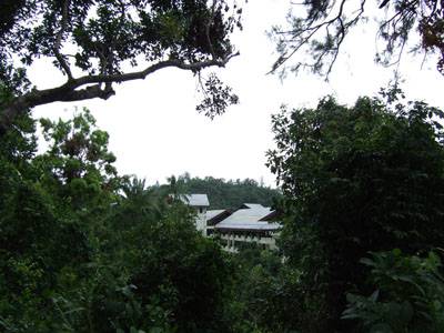 ジャングルから見たホテル