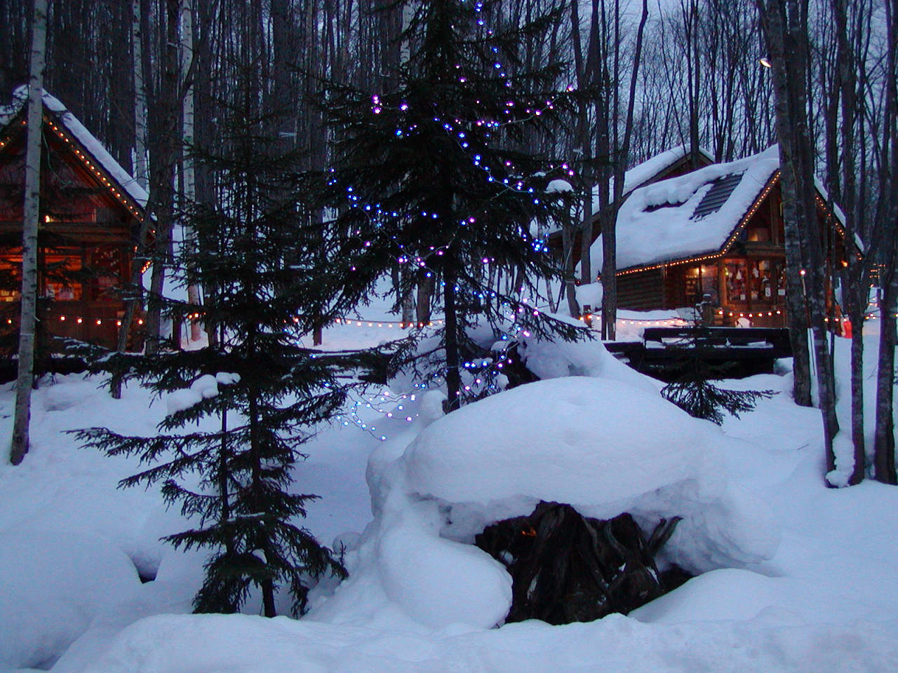 �x�ǖ�j���O���e���X