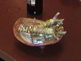 �����_�����T�r