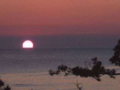 ニューとみよしのダルマ朝日