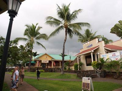 ＯＵＴＢＡＣＫ